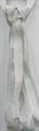 KACOONDA 7mm Silk Ribbon - 004 / 214